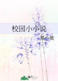 盗贼之海